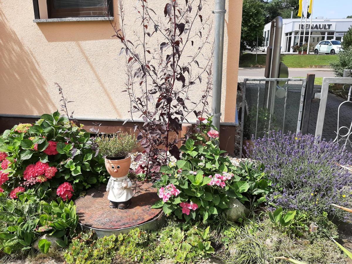 Ferienwohnung Am Park Pegau Exteriér fotografie